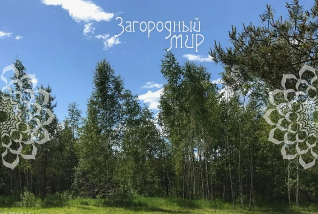 Продам участок, Дмитровское шоссе, 110 км от МКАД - Фото 1