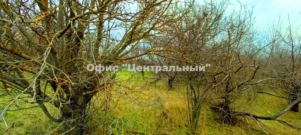 Неклиновский район, с.Морской Чулек, участок 6,5 сот. в 1,5 км от моря - Фото 2