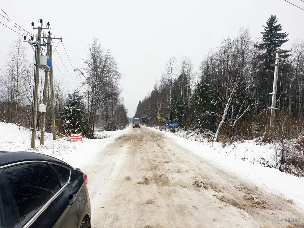 Погода в касимово. СНТ Касимово 1.