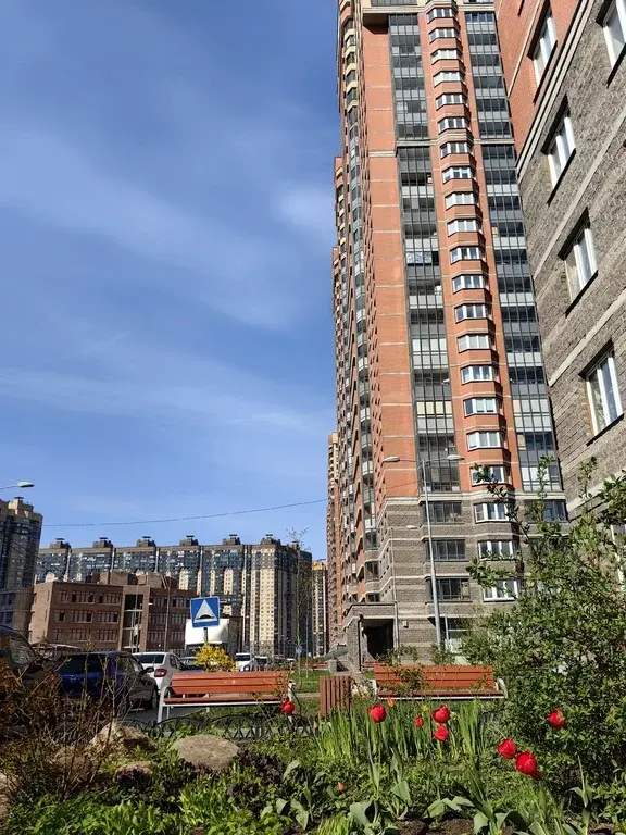 животные + /  временная регистрация + / дети + / духовка / посудомойка - Фото 1