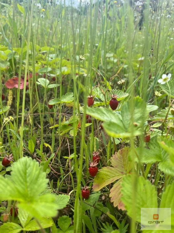 Продажа дома, Большие Кургузи, Зеленодольский район, ул. Сказочная - Фото 4