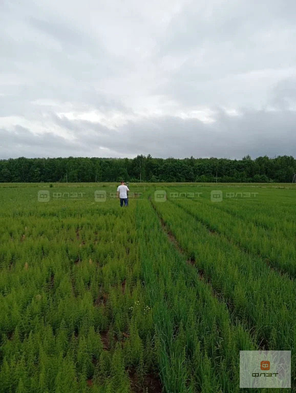 Продажа участка, Большие Кургузи, Зеленодольский район - Фото 3