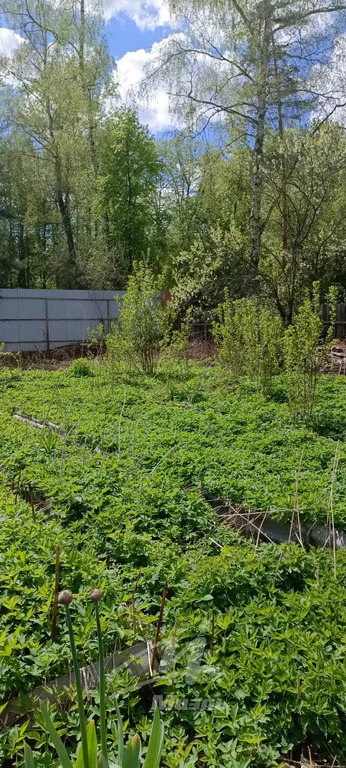 Продажа участка, Удельная, Раменский район, 3-го Интернационала ул. - Фото 1