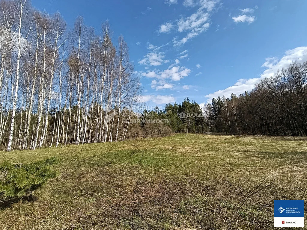 Продажа участка, Шиловский район, садоводческое товарищество Тырница - Фото 4