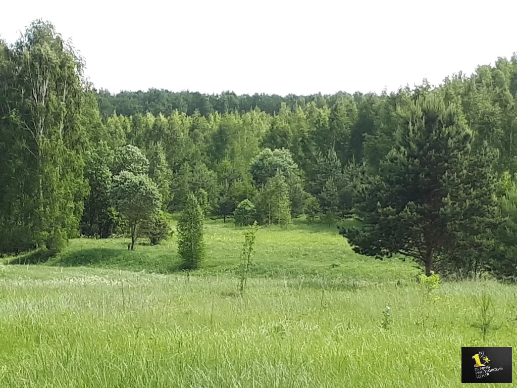 Карта коломна щепотьево