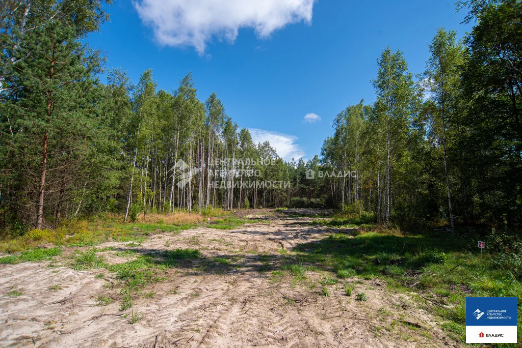 Продажа участка, Ушмор, Клепиковский район - Фото 2