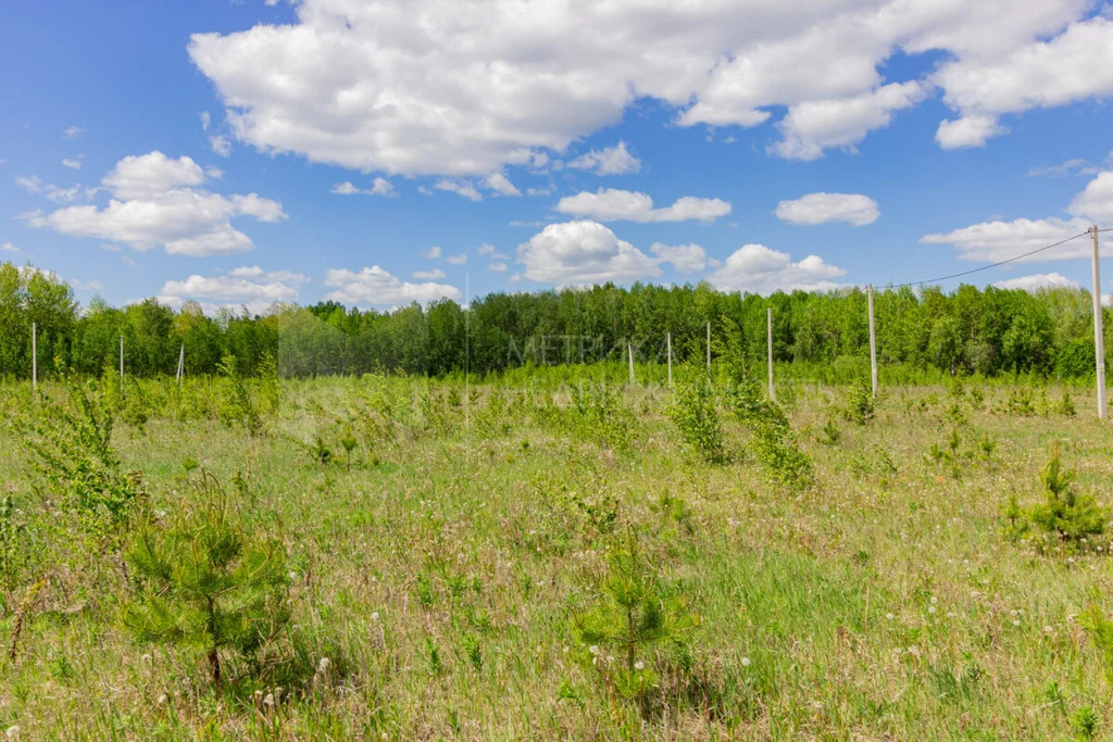 Продажа участка, Кичино, Шекснинский район, Шекснинский р-н - Фото 2