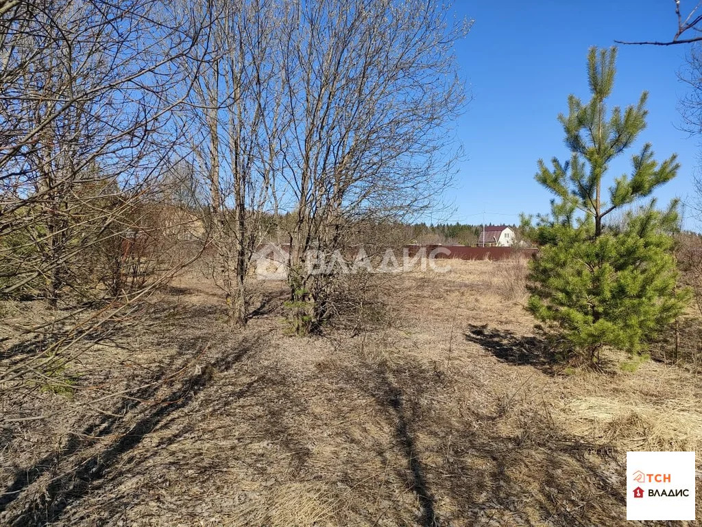 Продажа участка, Новопареево, Щелковский район, 1-я Амеревская улица - Фото 1