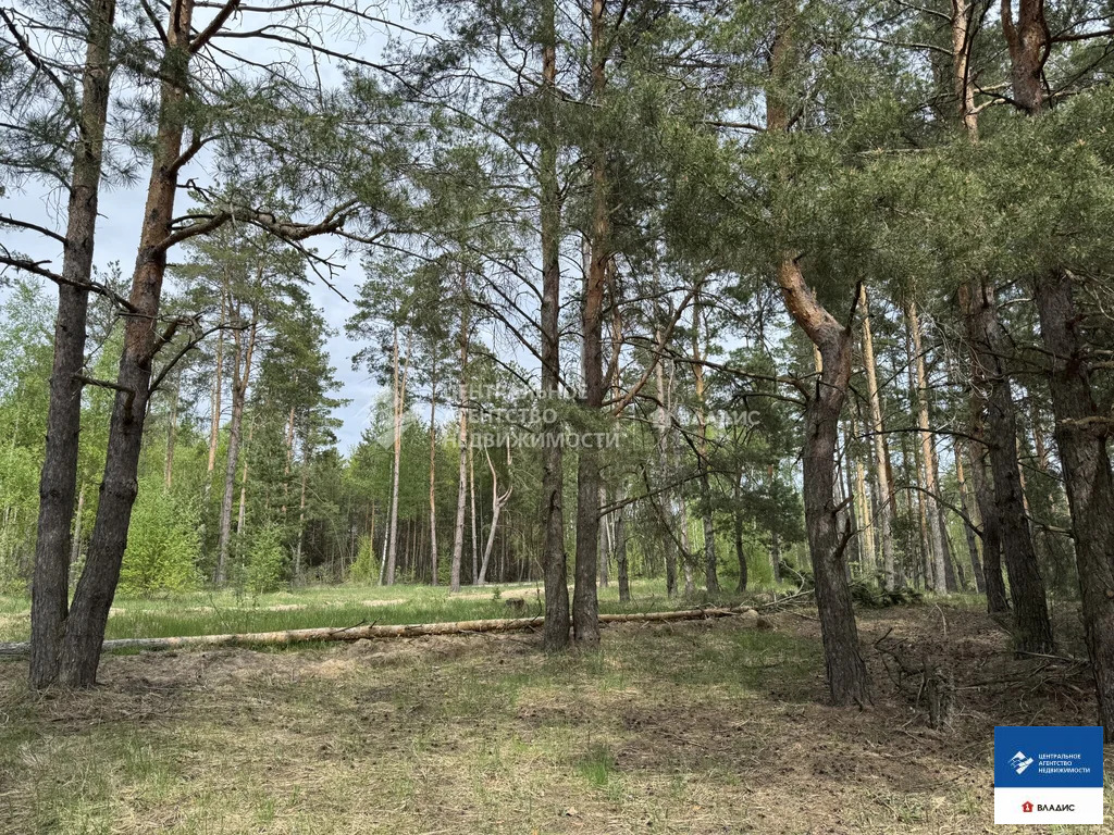 Продажа участка, Рязанский район, садоводческое товарищество ... - Фото 1