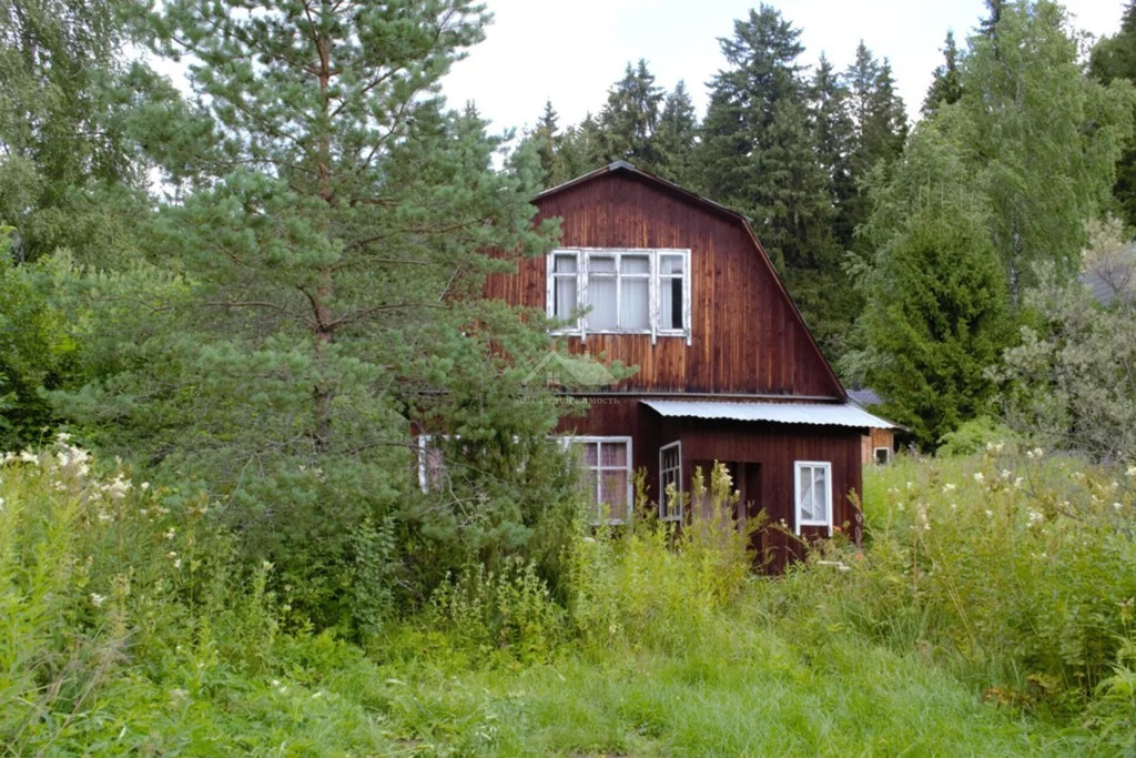 Купить Дачу В Городе Александрове