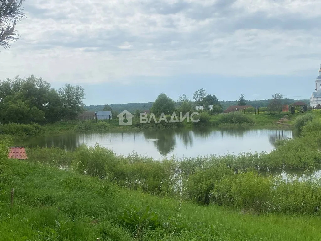 Козельский район, село Ильинское, Центральная улица,  дом на продажу - Фото 17