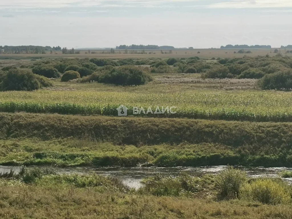 Суздальский район, село Менчаково, Центральная улица,  дом на продажу - Фото 40