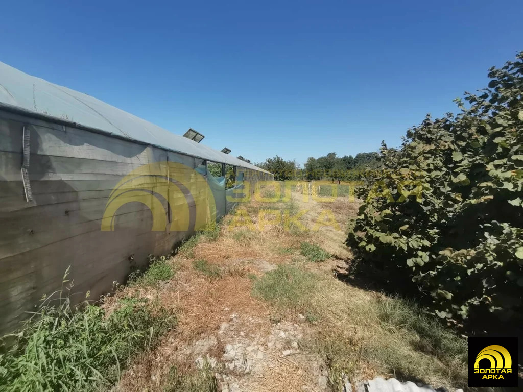 Продажа производственного помещения, Старонижестеблиевская, ... - Фото 6