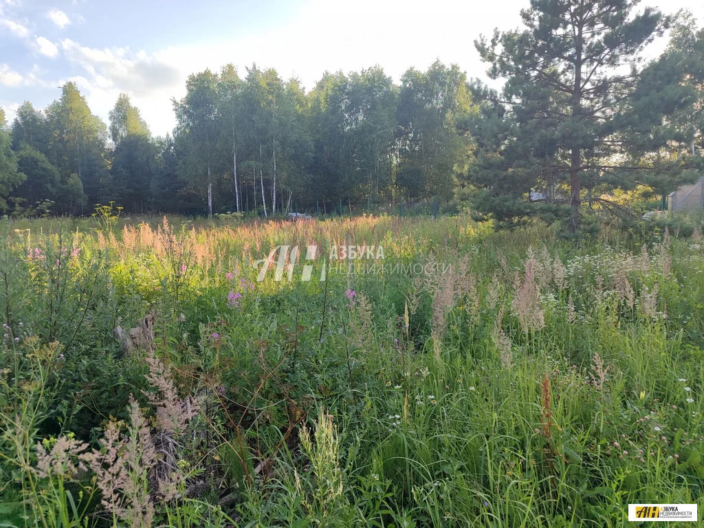 Продажа участка, Можайский район - Фото 5