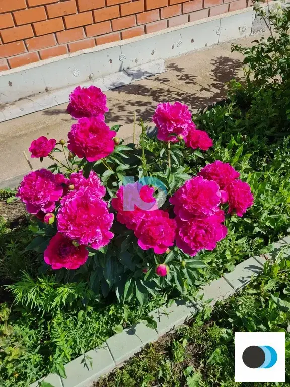 Продажа дома, Федоровка, Рассветная улица - Фото 20