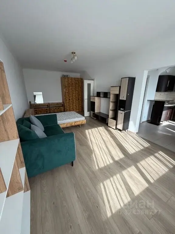 Продажа однокомнатной квартиры 46.9м ул. Александры Монаховой, 96к2, ... - Фото 4