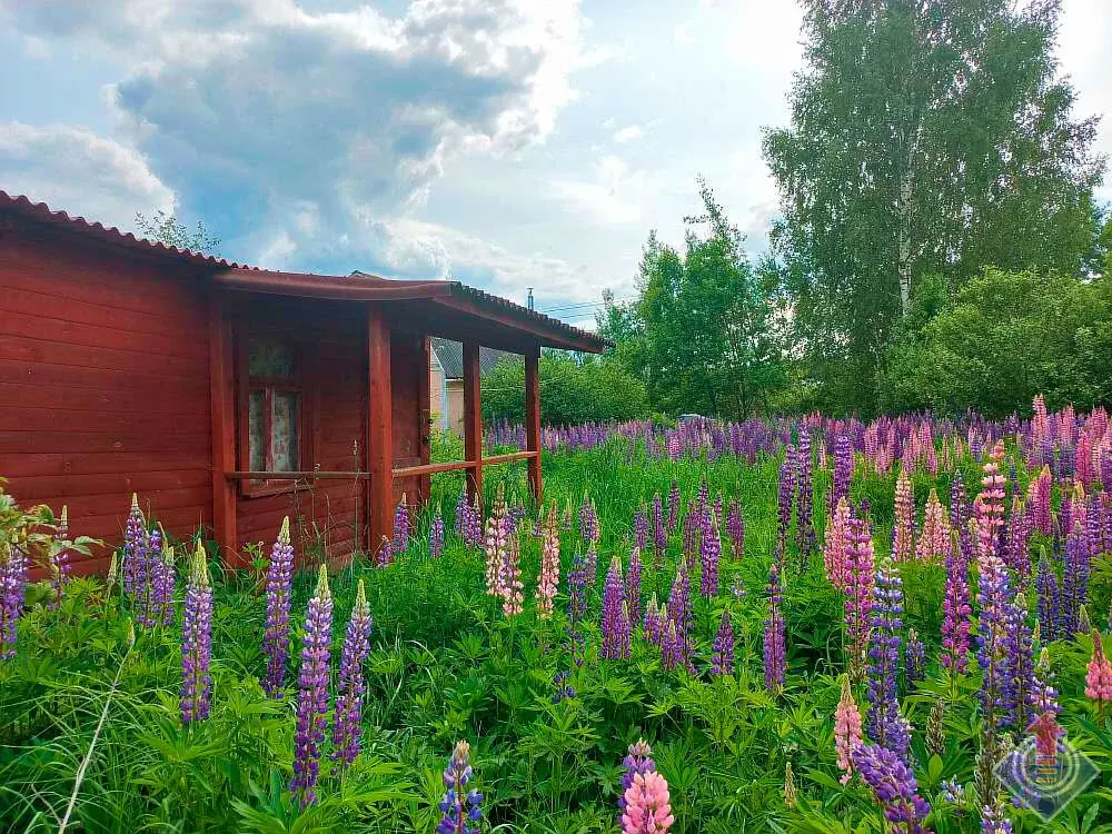 Продажа лесной дачи на 10 сот. в СНТ Порядино, Наро-Фоминский район - Фото 2