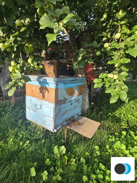 Продажа дома, Авдон, Уфимский район, ул. Фрунзе - Фото 33