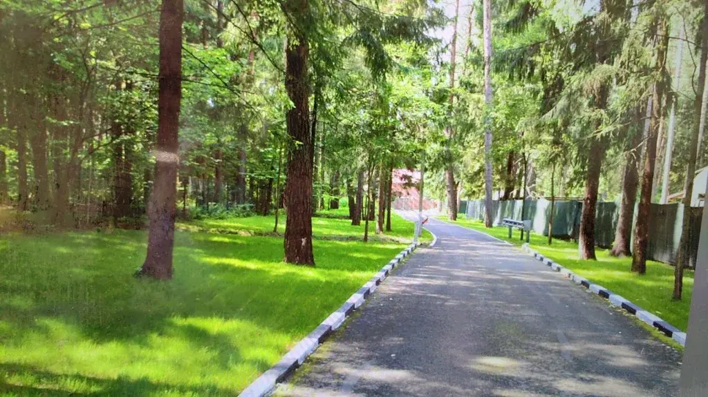 Продажа лесного участка в тихом месте на Рублевке на Николиной горе - Фото 2