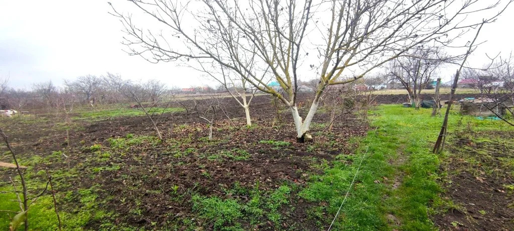 Продажа участка, Экономическое, Крымский район, ул. Заречная - Фото 3