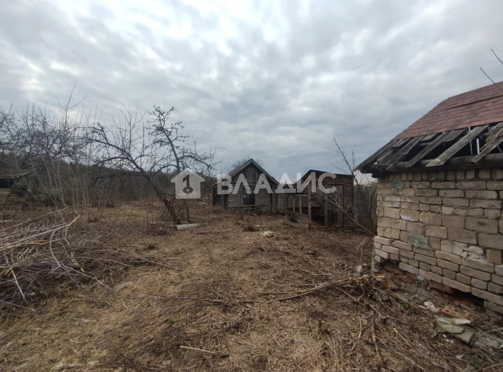 Судогодский район, село Мошок,  земля на продажу - Фото 5