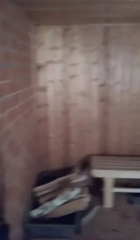 Курганская область Каргапольский р-он с. Брылино, ул. А. Антонова 18. - Фото 5