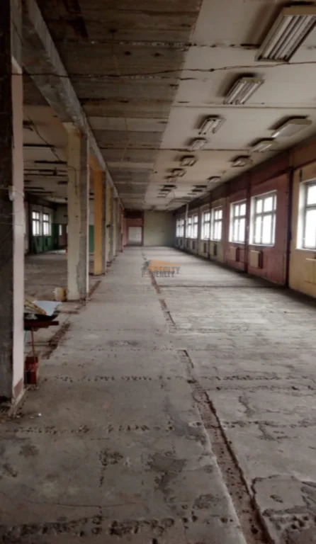 Аренда производственного помещения, Малаховка, Люберецкий район, ... - Фото 4