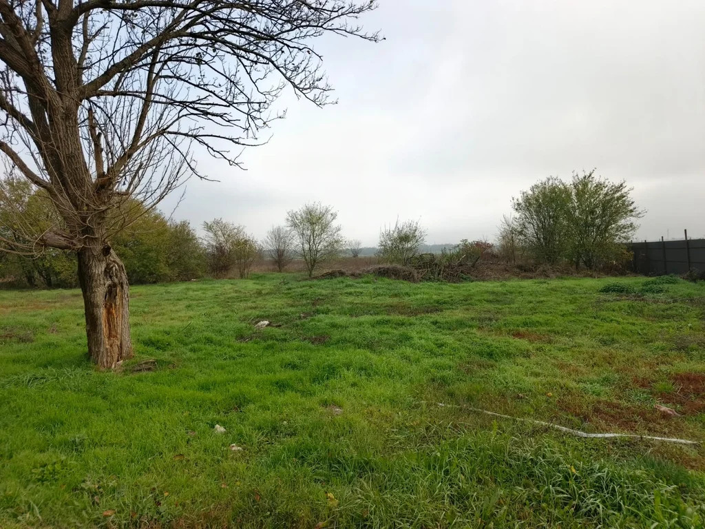 Продажа участка, Бончковский, Северский район - Фото 1