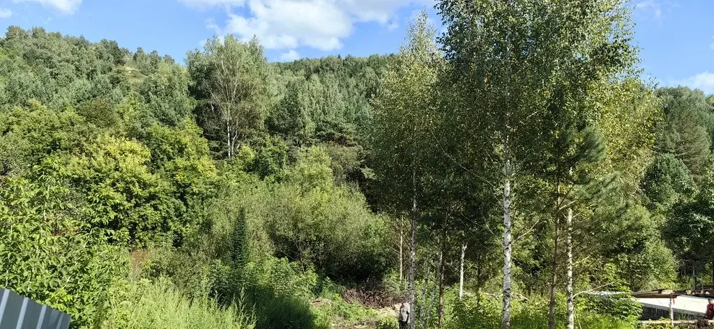 Живописный участок в Белокурихе от собственника! - Фото 5