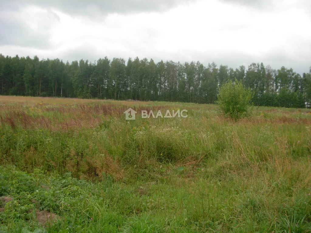 Судогодский район, дачный посёлок Медовая поляна,  земля на продажу - Фото 3