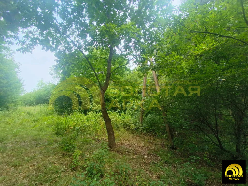 Продажа участка, Чибий, Северский район - Фото 17