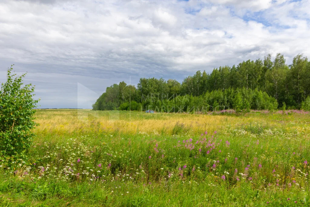 Продажа земельного участка, Тюменский район, Тюменский р-н - Фото 10