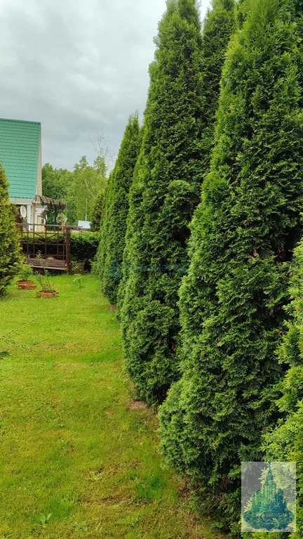Продажа дома, Чехов, Чеховский район, ул. Магистральная - Фото 4