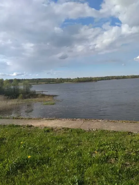 Срочно продается зем.участок с электричеством в д.Волково, Рузский р. - Фото 0