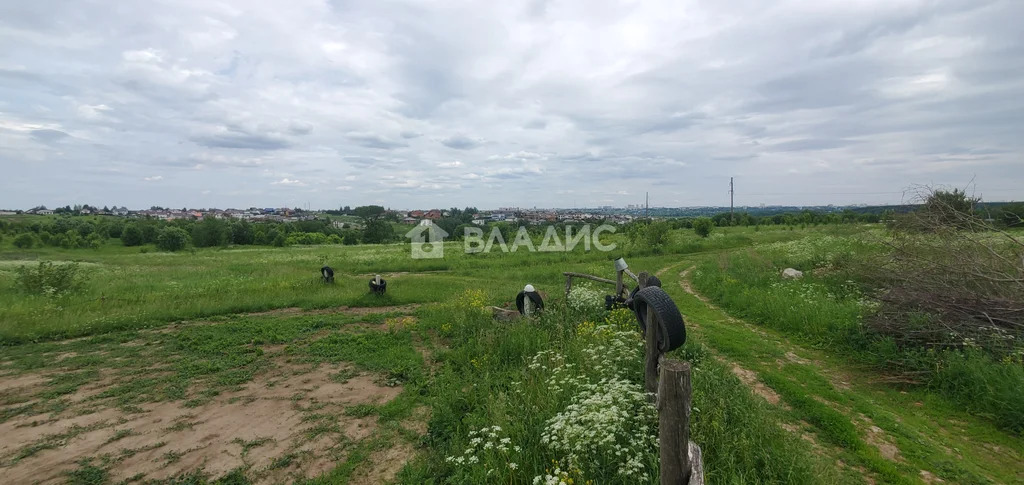 Суздальский район, деревня Багриново,  земля на продажу - Фото 4