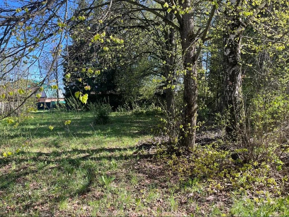 Имущественный комплекс - база отдыха «Ильинское», - Фото 4