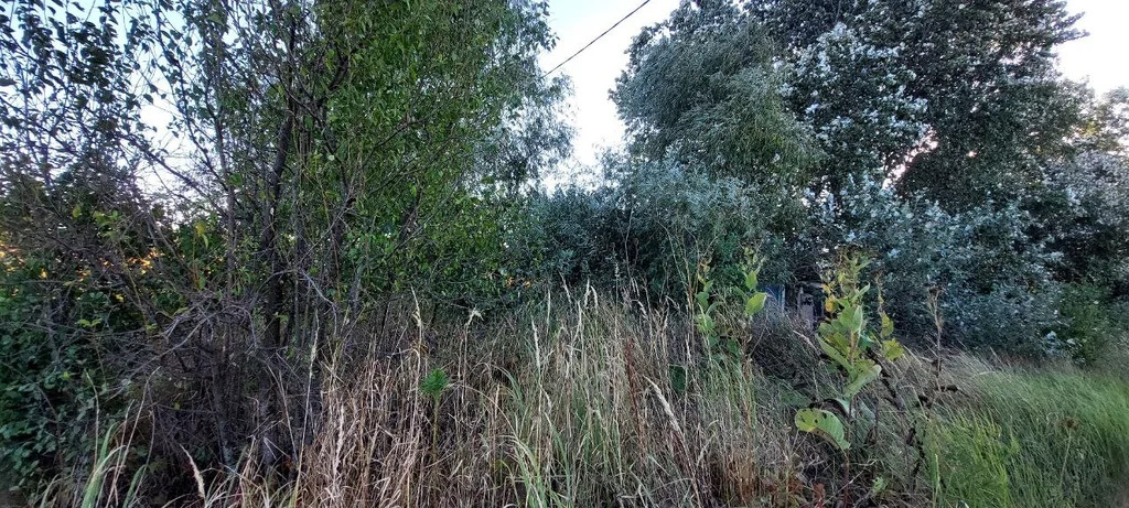 Продажа участка, Оазис, Северский район, переулок Карасунский - Фото 4