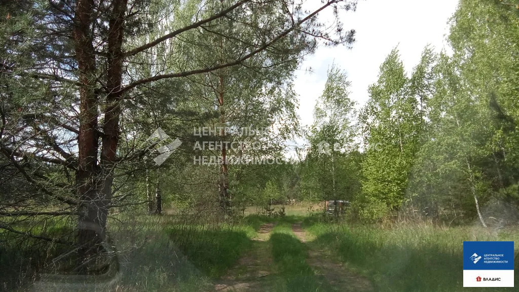 Продажа дома, Велье-Родионовка, Спасский район - Фото 1