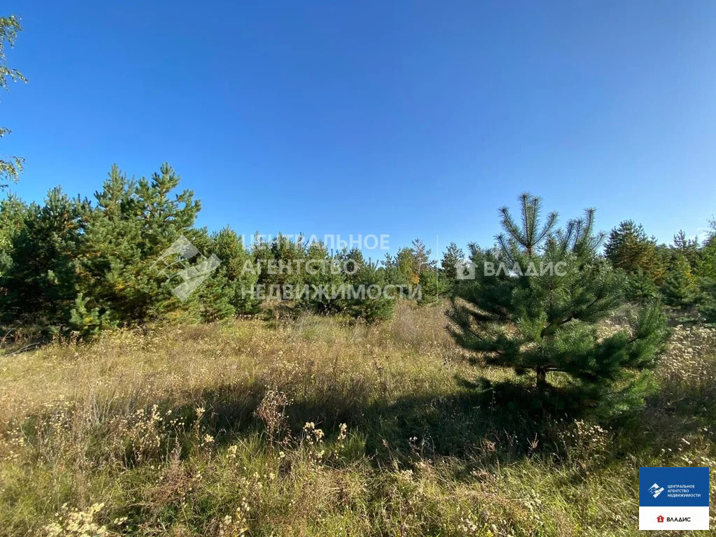 Продажа участка, Рязанский район - Фото 3