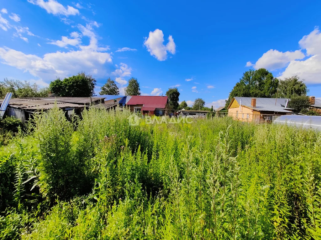 Суздальский район, село Добрынское, Пионерская улица, дом на продажу - Фото 16