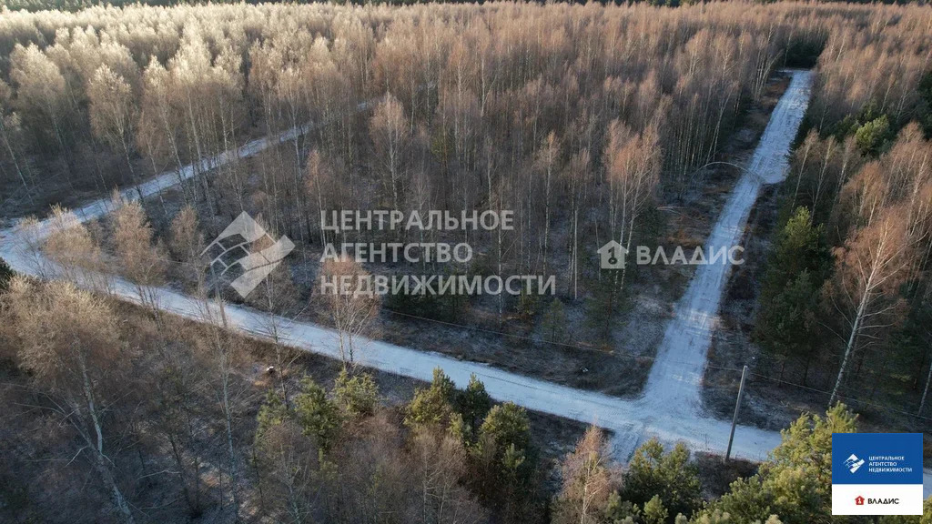 Продажа участка, Ярустово, Спасский район, ул. Лесная - Фото 8