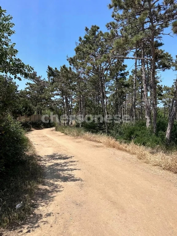 Аренда квартиры, Севастополь, территория СТ Сосновая Роща - Фото 11