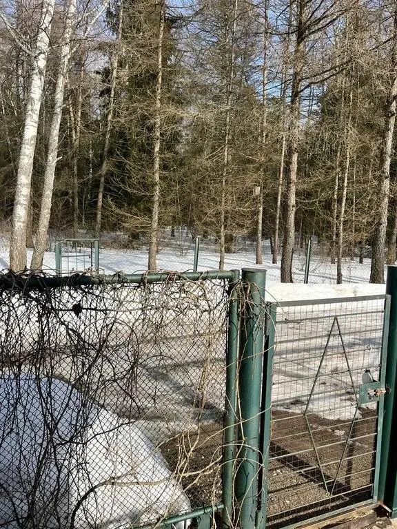 Дом возле леса - Фото 19