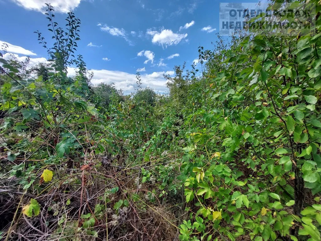 Объект 538392 - Фото 12