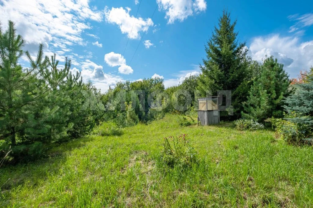 Продажа дома, Новосибирск, ул. Пионерская - Фото 13