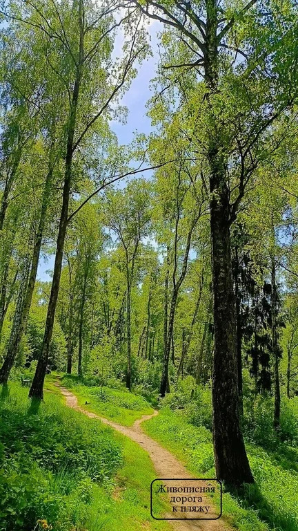 Продажа участка, Загорянский, Щелковский район, ул. Наречная - Фото 11