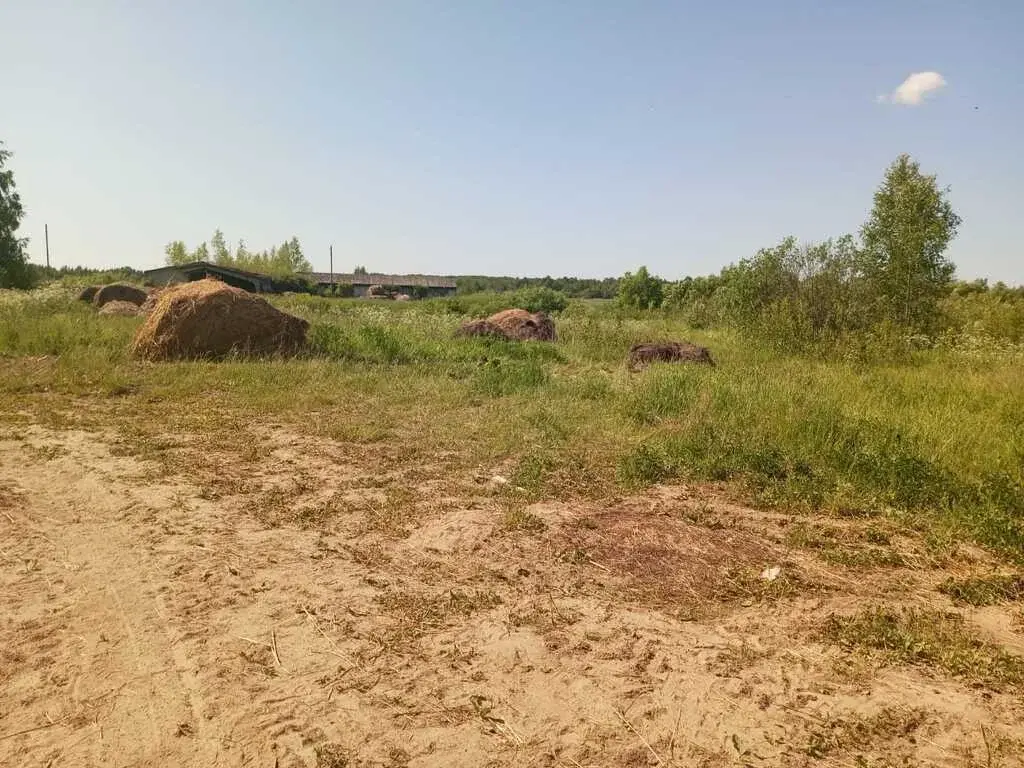 Продажа 436 га с административным зданием и фермой, 170 км от МКАД - Фото 12