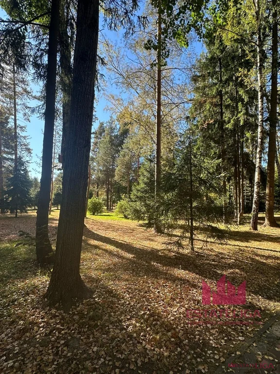 Продажа дома, Левково, Дмитровский район, Сосновая улица - Фото 37