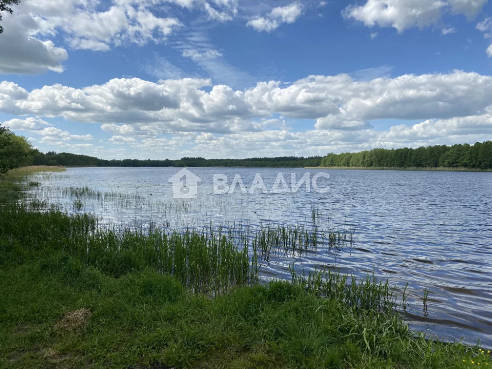 Камешковский район, деревня Лубенкино,  дом на продажу - Фото 0