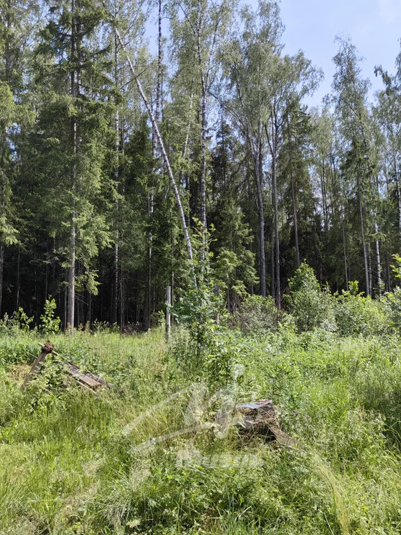 Продажа дома, Воря-Богородское, Щелковский район, Фаза снт. - Фото 36